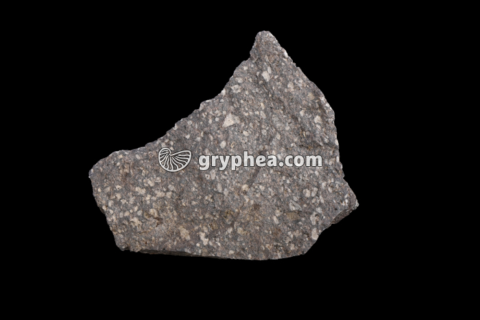 Andésite - échantillon (Mount Lassen, Chaîne des Cascades, Washington, USA) - gryphea.com